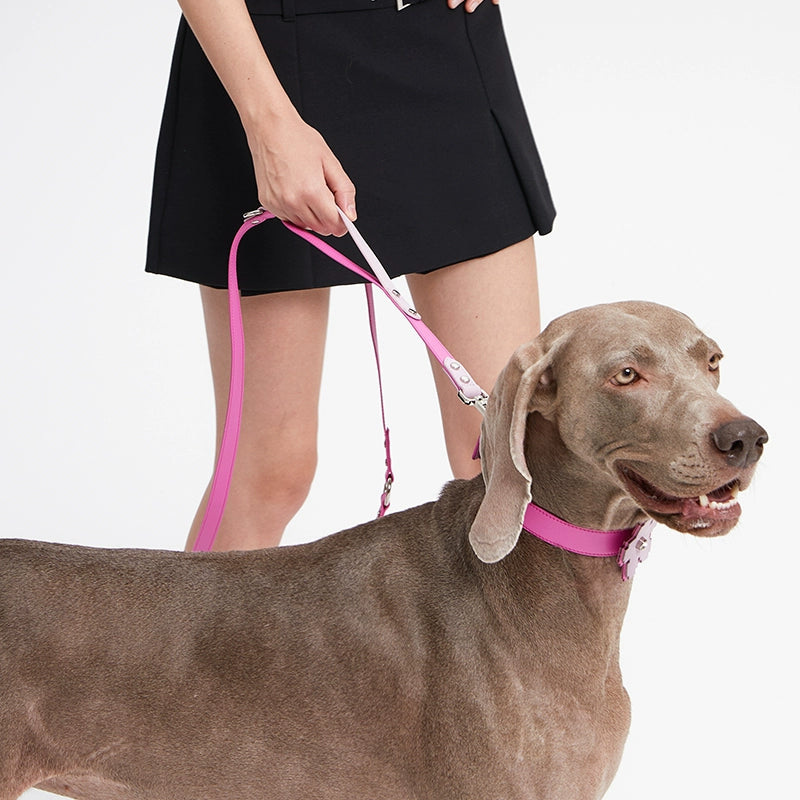 MARSMAIL Hands-Free Leash and Collar