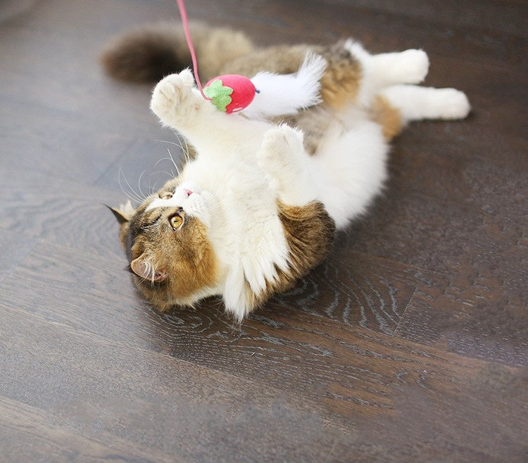 Pockitty Cat Toy