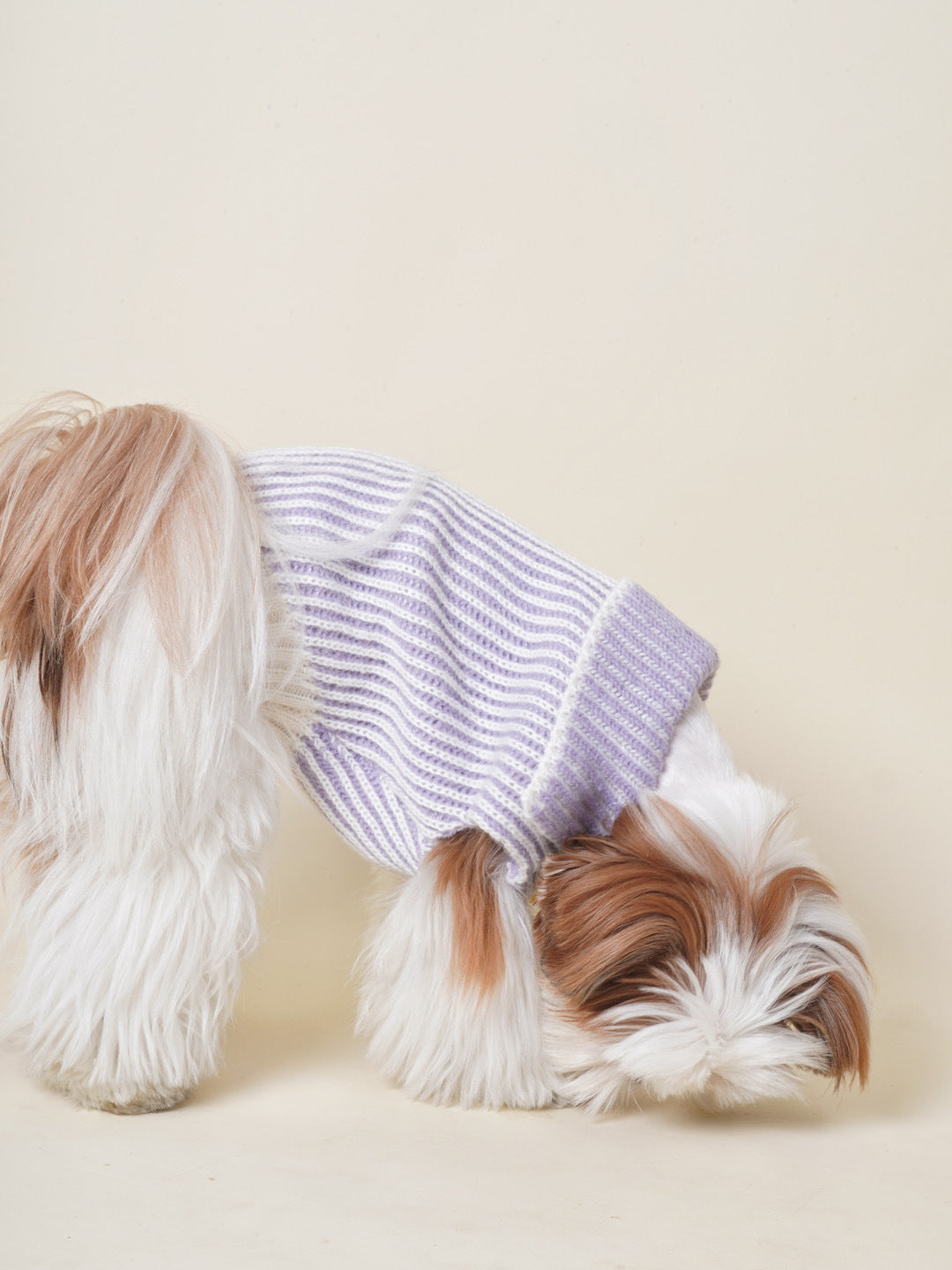 DDPET Collar sweater