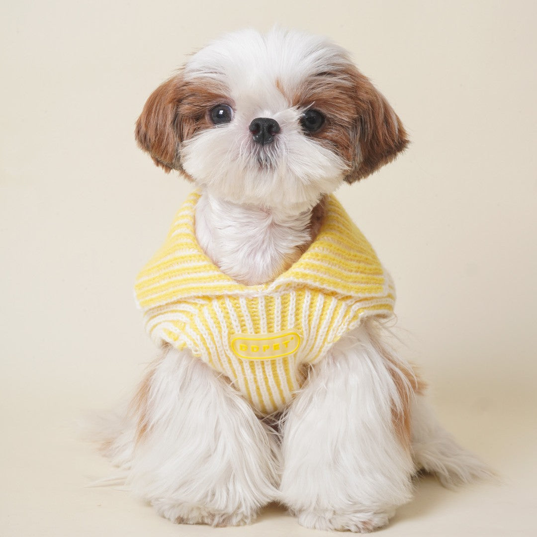 DDPET Collar sweater