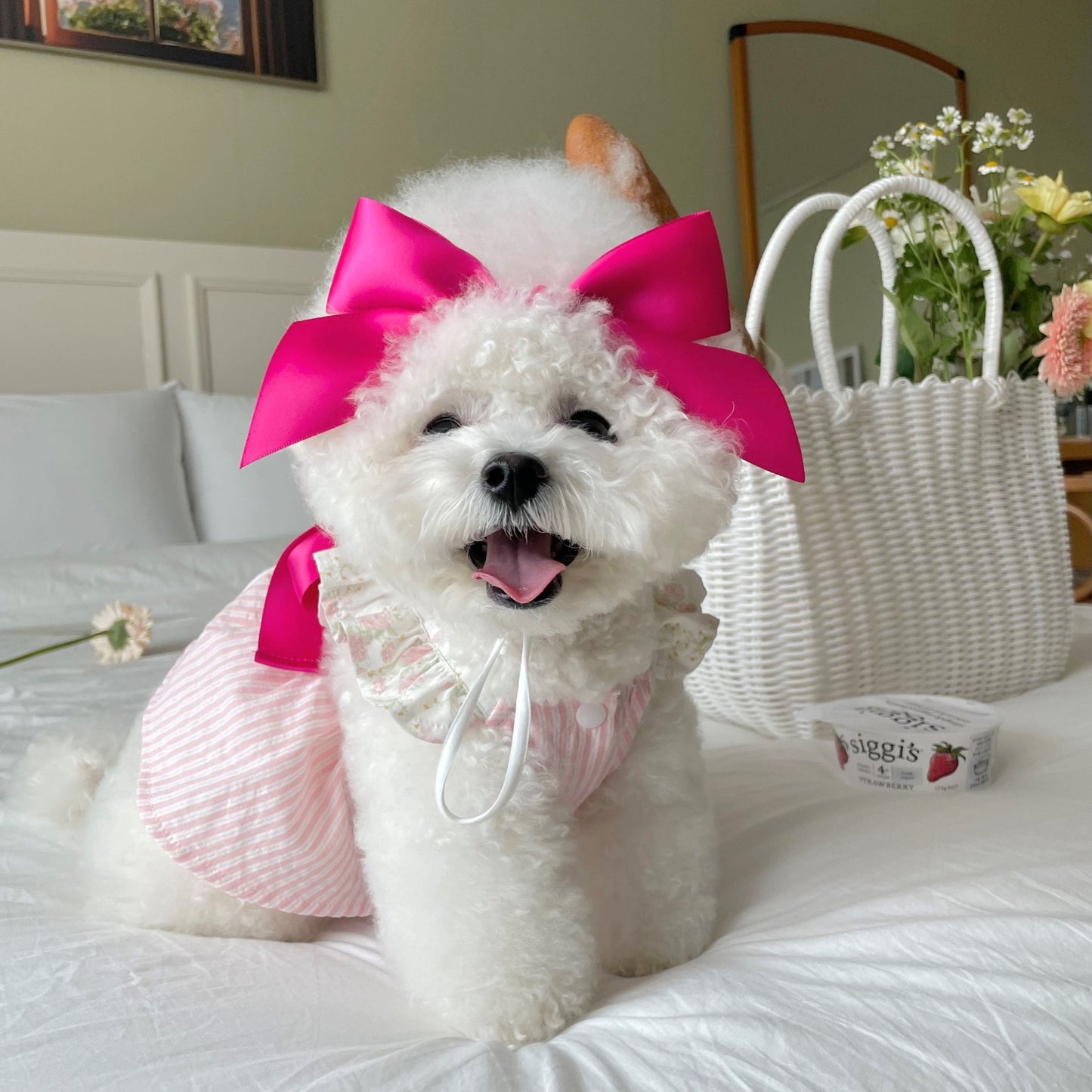 Pet Bow Headband