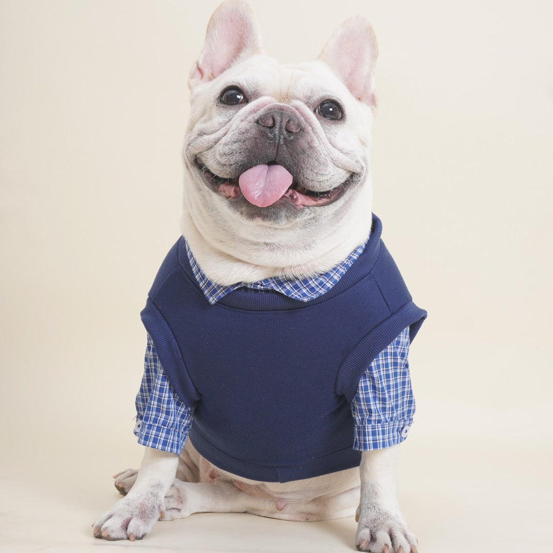 DDPET Vest+ Shirt