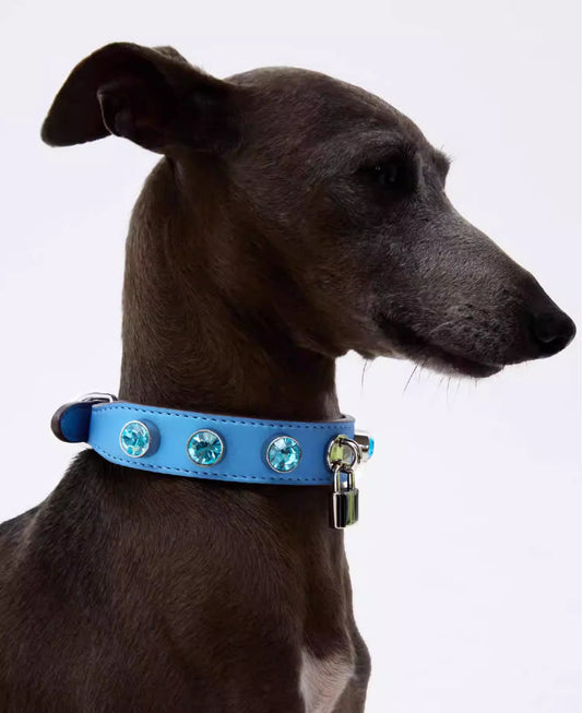 MMCHOKK Crystal Pet Collar