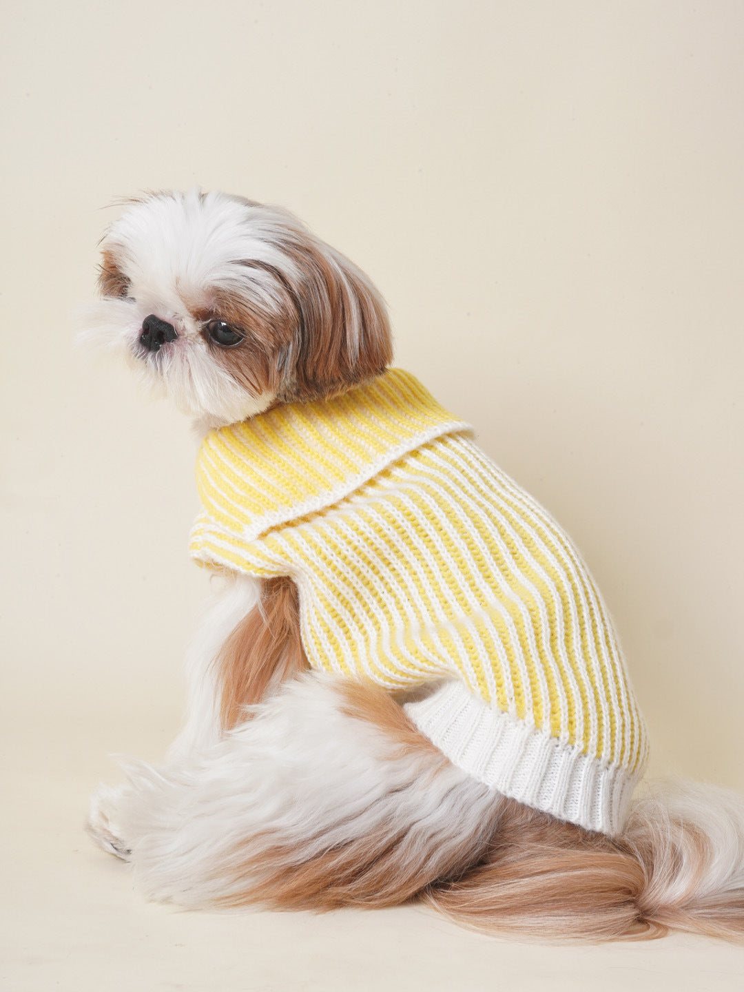 DDPET Collar sweater