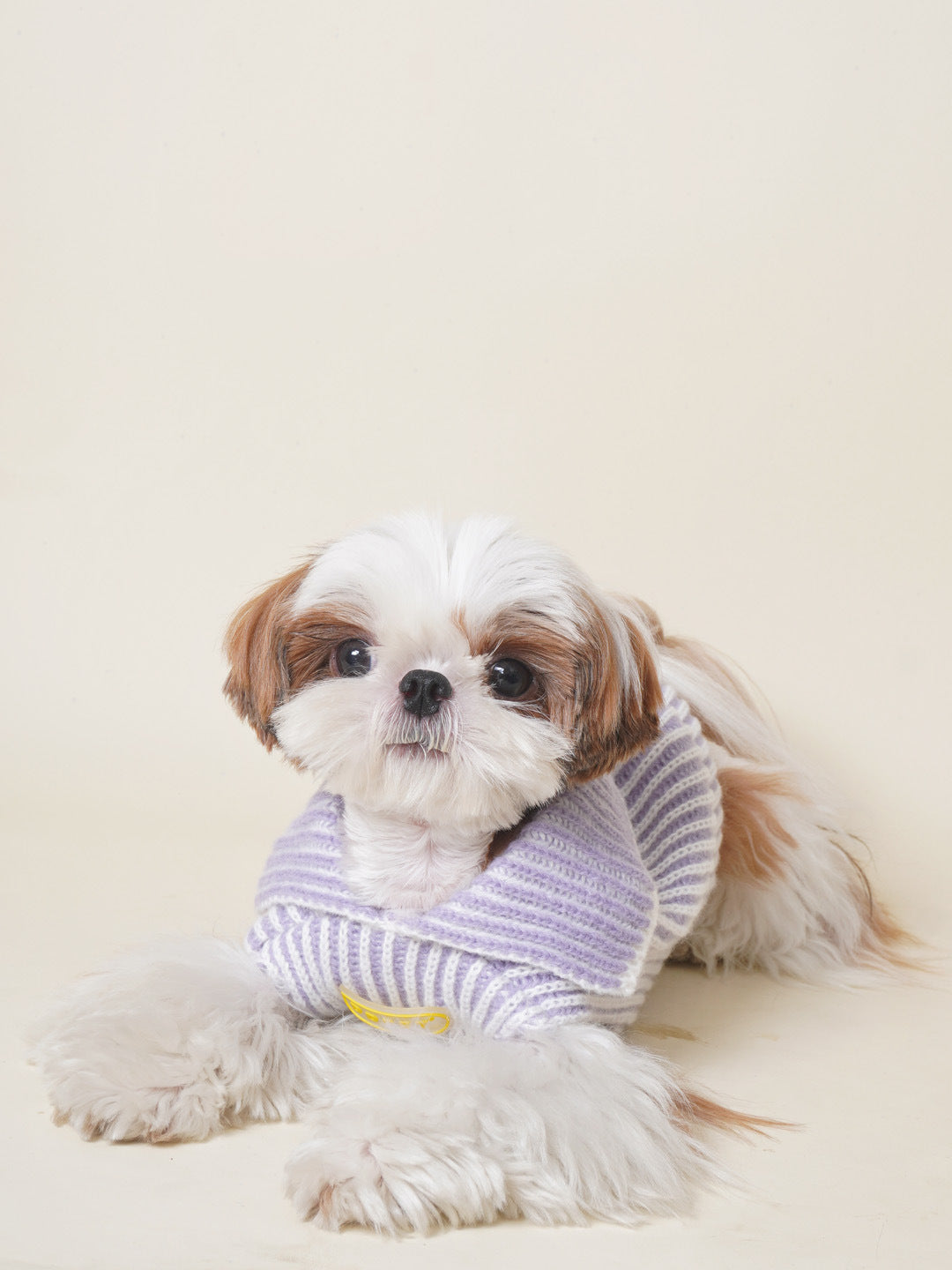 DDPET Collar sweater