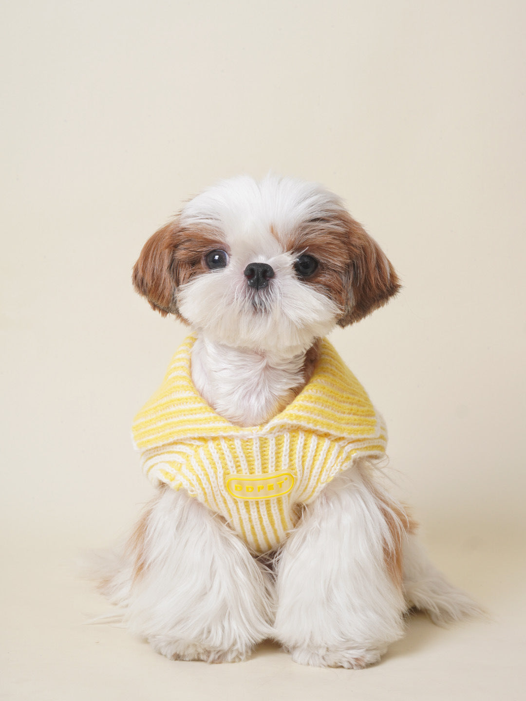 DDPET Collar sweater