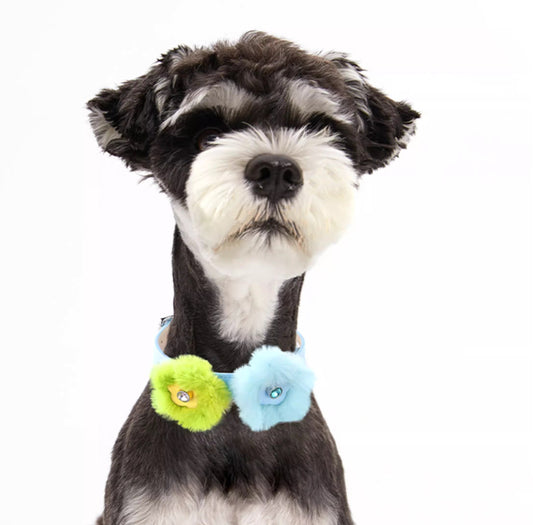 MARSMAIL Flower Plush Collar