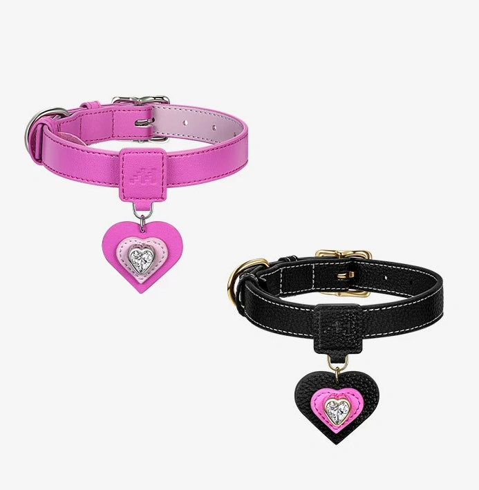 MARSMAIL Pet Pendant Collar