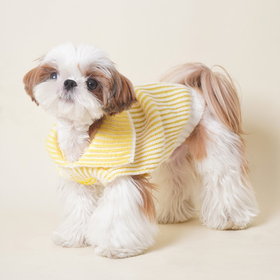 DDPET Collar sweater