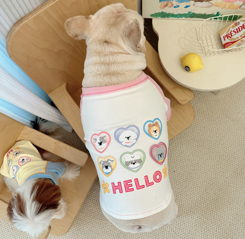 DDPET Hello Bear Sweatshirt