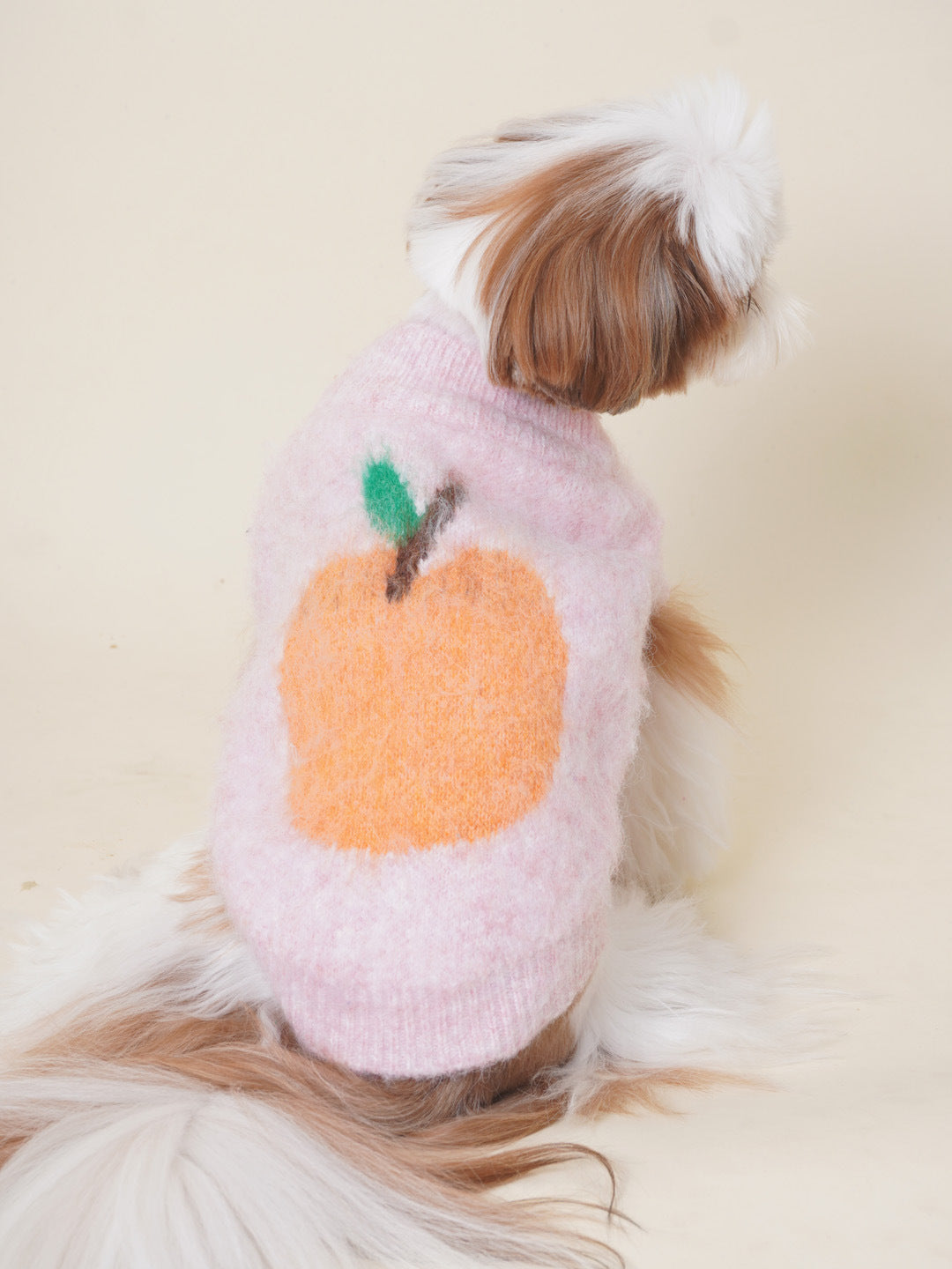 DDPET Fruit Sweater