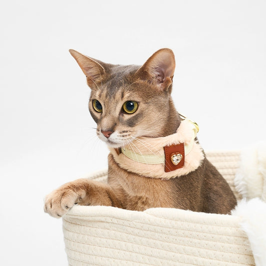 MARSMAIL Plush Pet Collar